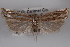  ( - 09-JBTOR-0538)  @13 [ ] CreativeCommons - Attribution (2010) Unspecified Centre for Biodiversity Genomics