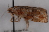  ( - 09-JBTOR-0730)  @12 [ ] CreativeCommons - Attribution (2010) Unspecified Centre for Biodiversity Genomics