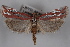  ( - 09-JBTOR-0543)  @13 [ ] CreativeCommons - Attribution (2010) Unspecified Centre for Biodiversity Genomics
