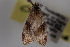  ( - 09-JBTOR-0733)  @13 [ ] CreativeCommons - Attribution (2010) Unspecified Centre for Biodiversity Genomics