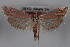 ( - 09-JBTOR-0544)  @13 [ ] CreativeCommons - Attribution (2010) Unspecified Centre for Biodiversity Genomics