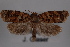  ( - 09-JBTOR-0835)  @13 [ ] CreativeCommons - Attribution (2010) Unspecified Centre for Biodiversity Genomics