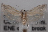  ( - 09-JBTOR-0648)  @14 [ ] CreativeCommons - Attribution (2010) Unspecified Centre for Biodiversity Genomics