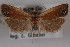  ( - 09-JBTOR-0554)  @13 [ ] CreativeCommons - Attribution (2010) Unspecified Centre for Biodiversity Genomics