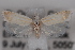  ( - 09-JBTOR-0649)  @13 [ ] CreativeCommons - Attribution (2010) Unspecified Centre for Biodiversity Genomics