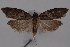  ( - 09-JBTOR-0744)  @13 [ ] CreativeCommons - Attribution (2010) Unspecified Centre for Biodiversity Genomics