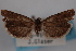  ( - 09-JBTOR-0840)  @13 [ ] CreativeCommons - Attribution (2010) Unspecified Centre for Biodiversity Genomics