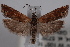  ( - 09-JBTOR-0652)  @11 [ ] CreativeCommons - Attribution (2010) Unspecified Centre for Biodiversity Genomics