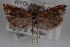  ( - 09-JBTOR-0654)  @12 [ ] CreativeCommons - Attribution (2010) Unspecified Centre for Biodiversity Genomics