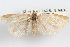  ( - 09-JBTOR-1034)  @11 [ ] CreativeCommons - Attribution (2010) Unspecified Centre for Biodiversity Genomics