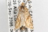  ( - 09-JBTOR-1040)  @13 [ ] CreativeCommons - Attribution (2010) Unspecified Centre for Biodiversity Genomics