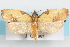  ( - 09-JBTOR-1067)  @14 [ ] CreativeCommons - Attribution (2010) Unspecified Centre for Biodiversity Genomics