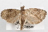  ( - 09-JBTOR-1083)  @13 [ ] CreativeCommons - Attribution (2010) Unspecified Centre for Biodiversity Genomics