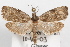  ( - 09-JBTOR-1084)  @14 [ ] CreativeCommons - Attribution (2010) Unspecified Centre for Biodiversity Genomics