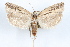  ( - 09-JBTOR-1165)  @13 [ ] CreativeCommons - Attribution (2010) Unspecified Centre for Biodiversity Genomics