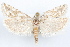  ( - 09-JBTOR-1175)  @13 [ ] CreativeCommons - Attribution (2010) Unspecified Centre for Biodiversity Genomics
