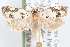  ( - 09-JBTOR-1211)  @13 [ ] CreativeCommons - Attribution (2010) Unspecified Centre for Biodiversity Genomics