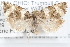  ( - 09-JBTOR-1213)  @13 [ ] CreativeCommons - Attribution (2010) Unspecified Centre for Biodiversity Genomics