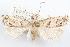  ( - 09-JBTOR-1223)  @11 [ ] CreativeCommons - Attribution (2010) Unspecified Centre for Biodiversity Genomics