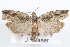  ( - 09-JBTOR-1245)  @13 [ ] CreativeCommons - Attribution (2010) Unspecified Centre for Biodiversity Genomics