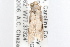  ( - 09-JBTOR-1250)  @12 [ ] CreativeCommons - Attribution (2010) Unspecified Centre for Biodiversity Genomics