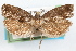  ( - 09-JBTOR-1257)  @12 [ ] CreativeCommons - Attribution (2010) Unspecified Centre for Biodiversity Genomics