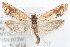  ( - 09-JBTOR-1274)  @11 [ ] CreativeCommons - Attribution (2010) Unspecified Centre for Biodiversity Genomics