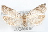  ( - 09-JBTOR-1292)  @14 [ ] CreativeCommons - Attribution (2010) Unspecified Centre for Biodiversity Genomics