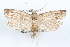  ( - 09-JBTOR-1304)  @11 [ ] CreativeCommons - Attribution (2010) Unspecified Centre for Biodiversity Genomics