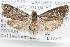  ( - 09-JBTOR-1319)  @13 [ ] CreativeCommons - Attribution (2010) Unspecified Centre for Biodiversity Genomics