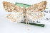  ( - 09-JBTOR-1320)  @14 [ ] CreativeCommons - Attribution (2010) Unspecified Centre for Biodiversity Genomics