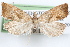  ( - 09-JBTOR-1321)  @14 [ ] CreativeCommons - Attribution (2010) Unspecified Centre for Biodiversity Genomics