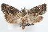  ( - 09-JBTOR-1325)  @14 [ ] CreativeCommons - Attribution (2010) Unspecified Centre for Biodiversity Genomics