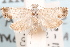  ( - 09-JBTOR-1327)  @11 [ ] CreativeCommons - Attribution (2010) Unspecified Centre for Biodiversity Genomics