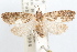  ( - 09-JBTOR-1332)  @14 [ ] CreativeCommons - Attribution (2010) Unspecified Centre for Biodiversity Genomics