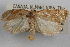 ( - 09-JBTOR-0846)  @11 [ ] CreativeCommons - Attribution (2010) Unspecified Centre for Biodiversity Genomics