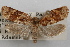  ( - 09-JBTOR-0881)  @12 [ ] CreativeCommons - Attribution (2010) Unspecified Centre for Biodiversity Genomics