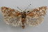  ( - 09-JBTOR-0884)  @11 [ ] CreativeCommons - Attribution (2010) Unspecified Centre for Biodiversity Genomics