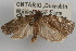  ( - 09-JBTOR-0899)  @11 [ ] CreativeCommons - Attribution (2010) Unspecified Centre for Biodiversity Genomics