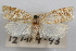  ( - 09-JBTOR-0905)  @11 [ ] CreativeCommons - Attribution (2010) Unspecified Centre for Biodiversity Genomics