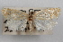  ( - 09-JBTOR-0906)  @11 [ ] CreativeCommons - Attribution (2010) Unspecified Centre for Biodiversity Genomics