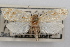  ( - 09-JBTOR-0907)  @11 [ ] CreativeCommons - Attribution (2010) Unspecified Centre for Biodiversity Genomics
