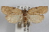 ( - 09-JBTOR-0912)  @13 [ ] CreativeCommons - Attribution (2010) Unspecified Centre for Biodiversity Genomics