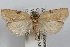  ( - 09-JBTOR-0913)  @13 [ ] CreativeCommons - Attribution (2010) Unspecified Centre for Biodiversity Genomics