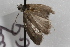  ( - 09-JBTOR-0915)  @12 [ ] CreativeCommons - Attribution (2010) Unspecified Centre for Biodiversity Genomics