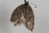  ( - 09-JBTOR-0916)  @13 [ ] CreativeCommons - Attribution (2010) Unspecified Centre for Biodiversity Genomics