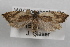  ( - 09-JBTOR-0918)  @12 [ ] CreativeCommons - Attribution (2010) Unspecified Centre for Biodiversity Genomics