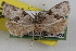 ( - 09-JBTOR-0929)  @12 [ ] CreativeCommons - Attribution (2010) Unspecified Centre for Biodiversity Genomics