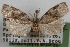  ( - 09-JBTOR-0930)  @12 [ ] CreativeCommons - Attribution (2010) Unspecified Centre for Biodiversity Genomics