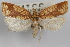  ( - 09-JBTOR-0937)  @11 [ ] CreativeCommons - Attribution (2010) Unspecified Centre for Biodiversity Genomics